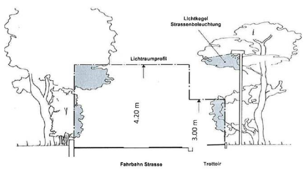 Rückschnitt von Bäumen und Sträuchern an Straßen und Gehwegen: Vorgaben zu Lichtraumprofil, Sichtverhältnissen und gesetzlichen Grundlagen für mehr Verkehrssicherheit.
